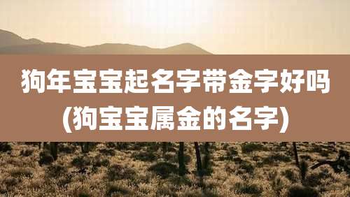 狗年宝宝起名字带金字好吗(狗宝宝属金的名字)