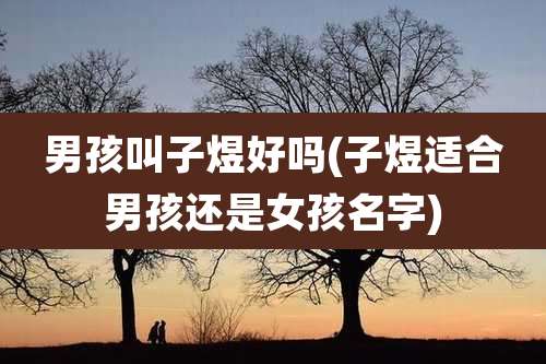 男孩叫子煜好吗(子煜适合男孩还是女孩名字)