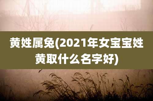 黄姓属兔(2021年女宝宝姓黄取什么名字好)