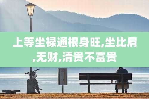 上等坐禄通根身旺,坐比肩,无财,清贵不富贵