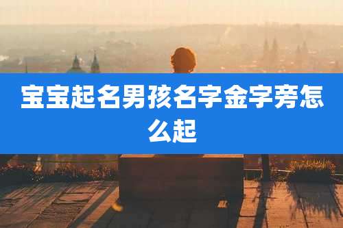 宝宝起名男孩名字金字旁怎么起