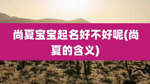 尚夏宝宝起名好不好呢(尚夏的含义)