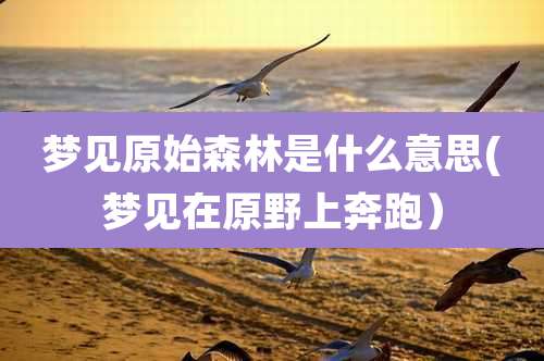 梦见原始森林是什么意思(梦见在原野上奔跑）