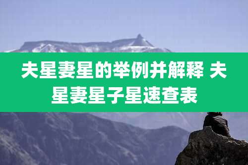 夫星妻星的举例并解释 夫星妻星子星速查表