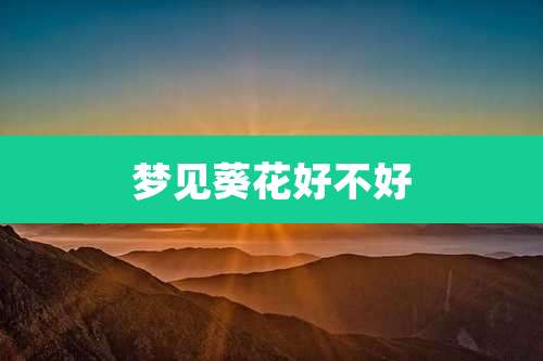 梦见葵花好不好