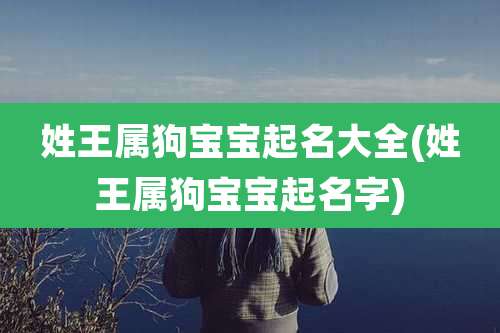 姓王属狗宝宝起名大全(姓王属狗宝宝起名字)