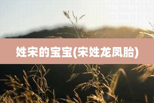 姓宋的宝宝(宋姓龙凤胎)