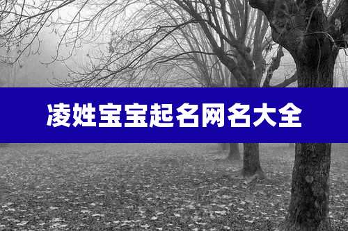 凌姓宝宝起名网名大全