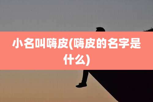 小名叫嗨皮(嗨皮的名字是什么)