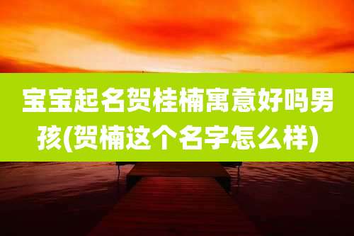 宝宝起名贺桂楠寓意好吗男孩(贺楠这个名字怎么样)