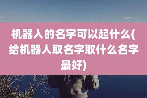 机器人的名字可以起什么(给机器人取名字取什么名字最好)