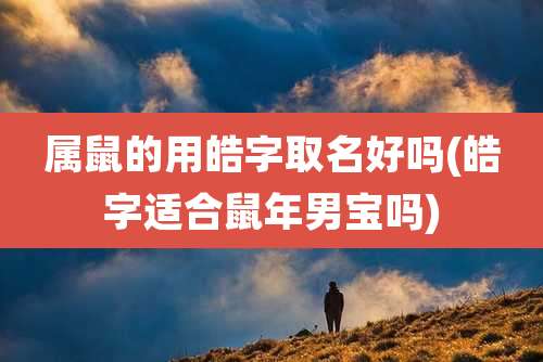 属鼠的用皓字取名好吗(皓字适合鼠年男宝吗)