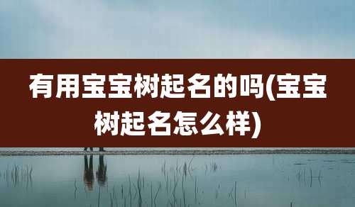 有用宝宝树起名的吗(宝宝树起名怎么样)