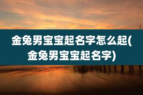 金兔男宝宝起名字怎么起(金兔男宝宝起名字)