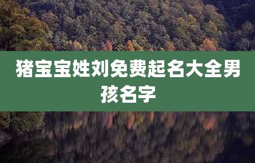 猪宝宝姓刘免费起名大全男孩名字
