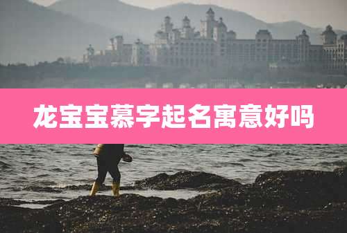 龙宝宝慕字起名寓意好吗