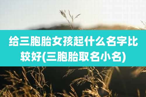 给三胞胎女孩起什么名字比较好(三胞胎取名小名)