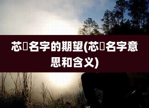 芯玥名字的期望(芯玥名字意思和含义)