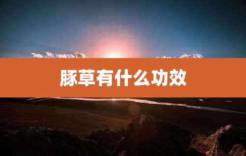 豚草有什么功效