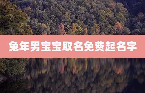 兔年男宝宝取名免费起名字