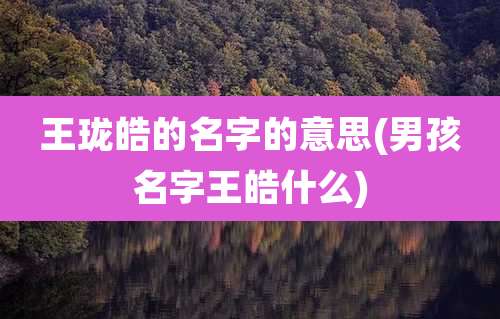 王珑皓的名字的意思(男孩名字王皓什么)