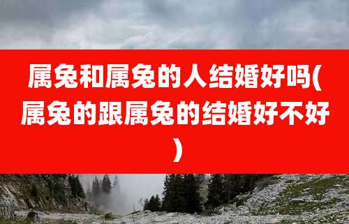 属兔和属兔的人结婚好吗(属兔的跟属兔的结婚好不好)