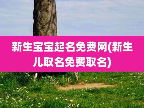 新生宝宝起名免费网(新生儿取名免费取名)