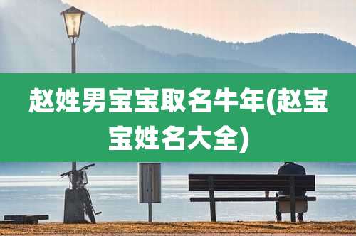 赵姓男宝宝取名牛年(赵宝宝姓名大全)