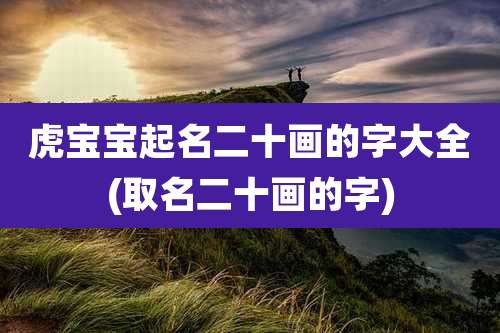 虎宝宝起名二十画的字大全(取名二十画的字)