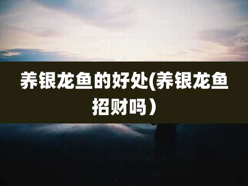 养银龙鱼的好处(养银龙鱼招财吗）