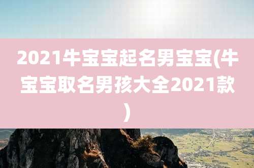2021牛宝宝起名男宝宝(牛宝宝取名男孩大全2021款)
