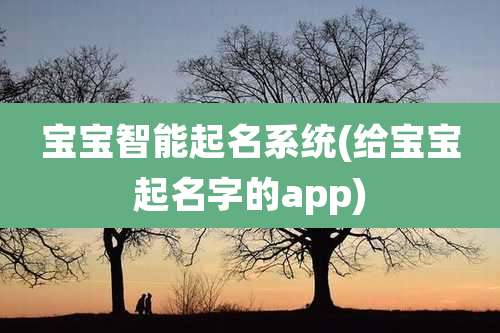 宝宝智能起名系统(给宝宝起名字的app)