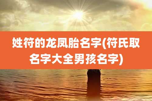 姓符的龙凤胎名字(符氏取名字大全男孩名字)