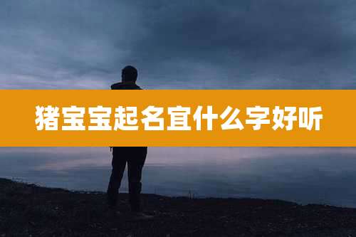 猪宝宝起名宜什么字好听