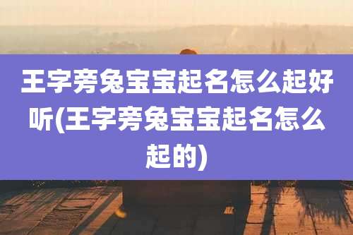 王字旁兔宝宝起名怎么起好听(王字旁兔宝宝起名怎么起的)