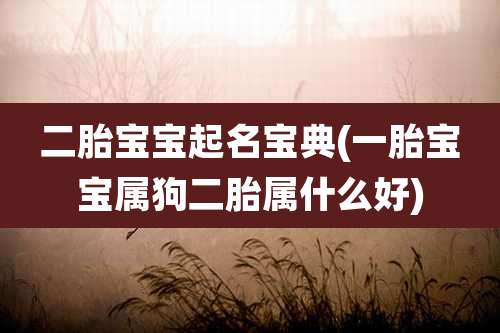 二胎宝宝起名宝典(一胎宝宝属狗二胎属什么好)