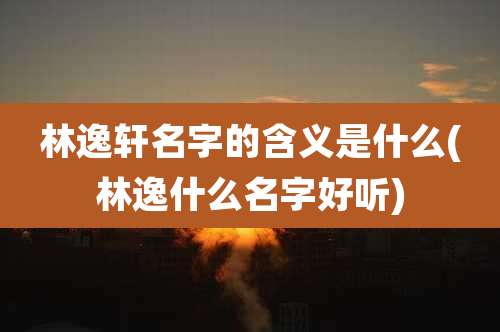 林逸轩名字的含义是什么(林逸什么名字好听)