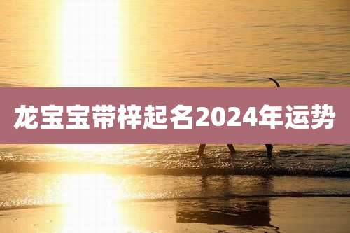 龙宝宝带梓起名2024年运势