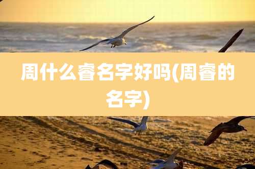 周什么睿名字好吗(周睿的名字)