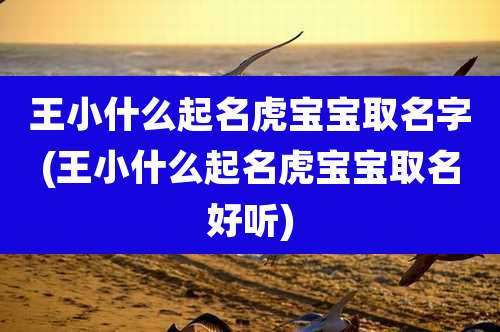 王小什么起名虎宝宝取名字(王小什么起名虎宝宝取名好听)
