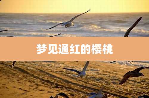 梦见通红的樱桃