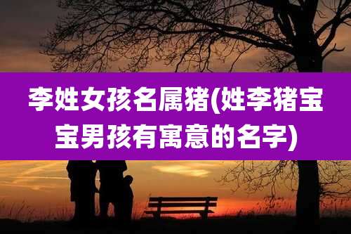 李姓女孩名属猪(姓李猪宝宝男孩有寓意的名字)