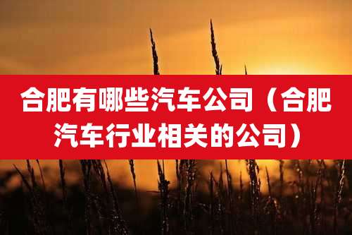 合肥有哪些汽车公司(合肥汽车行业相关的公司)