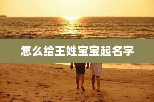 怎么给王姓宝宝起名字