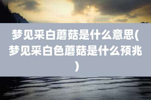 梦见采白蘑菇是什么意思(梦见采白色蘑菇是什么预兆)