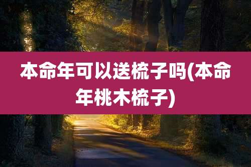 本命年可以送梳子吗(本命年桃木梳子)