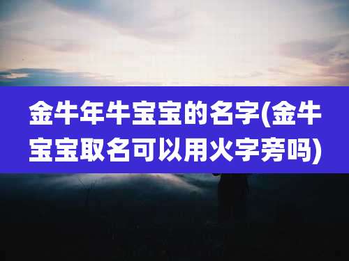 金牛年牛宝宝的名字(金牛宝宝取名可以用火字旁吗)