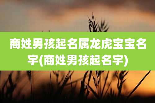 商姓男孩起名属龙虎宝宝名字(商姓男孩起名字)