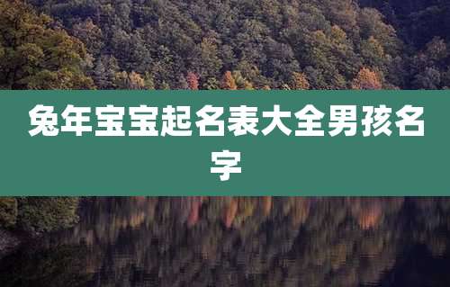 兔年宝宝起名表大全男孩名字