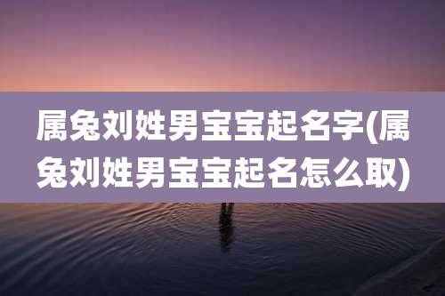 属兔刘姓男宝宝起名字(属兔刘姓男宝宝起名怎么取)